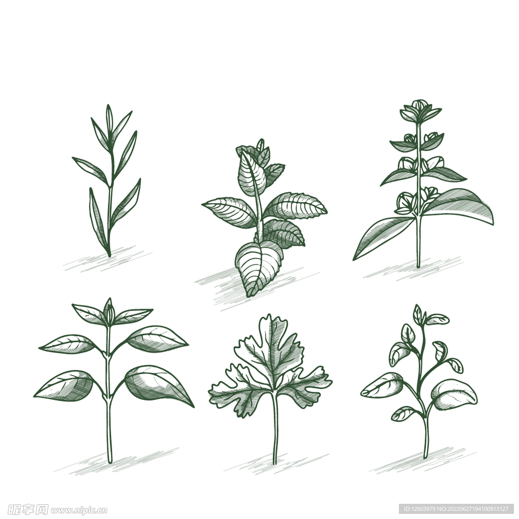 植物线稿元素