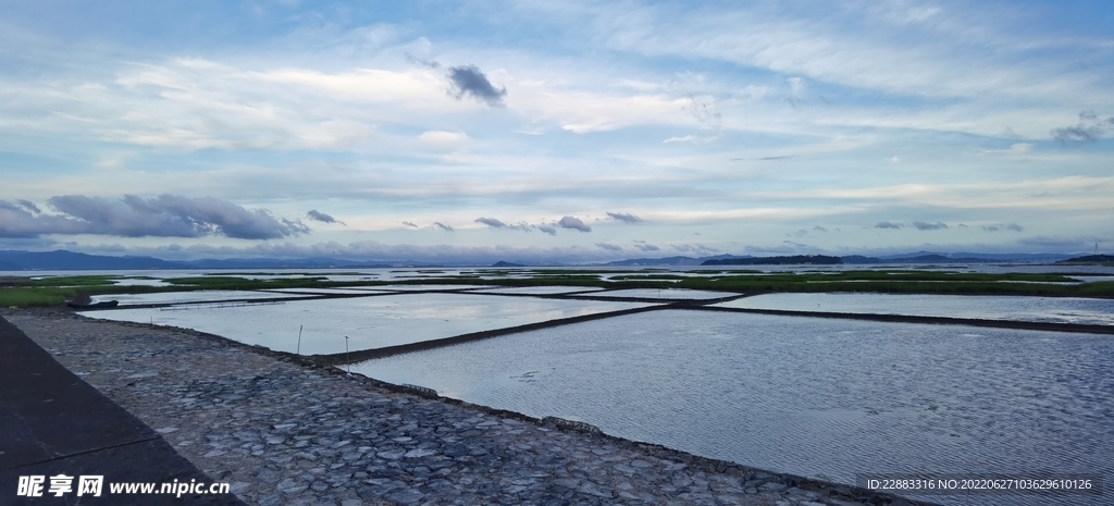 大海