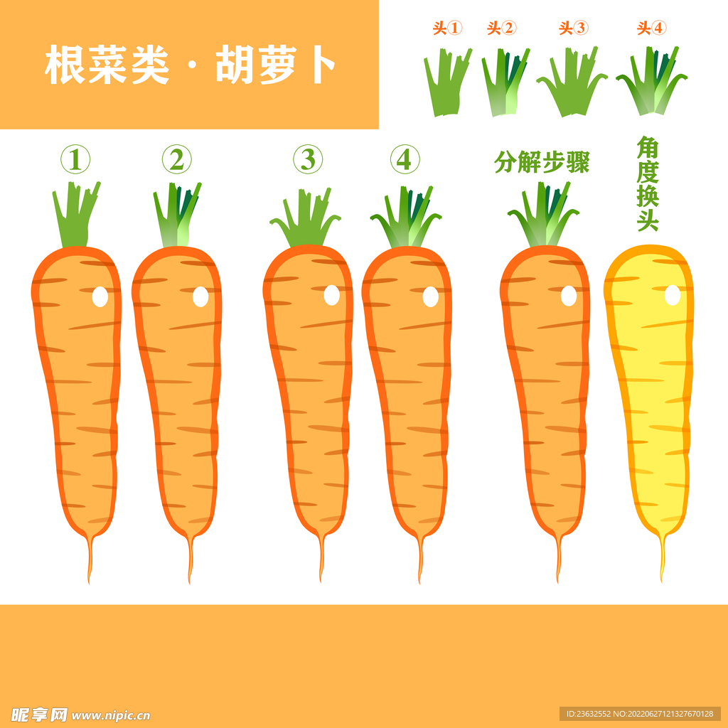 蔬菜之胡萝卜