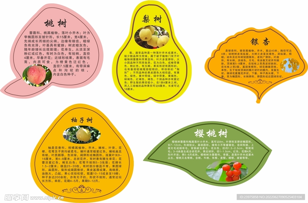 树木挂牌