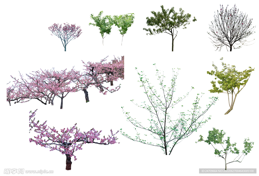 桃树ps素材贴图