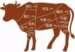 牛肉分割图