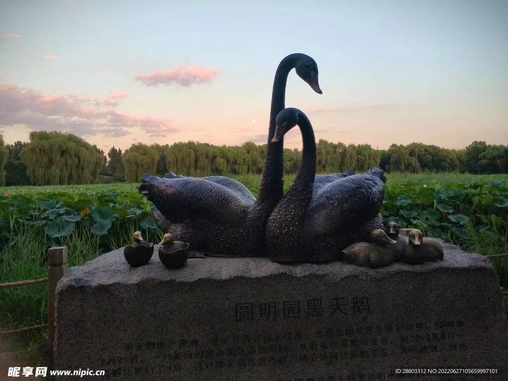 圆明园