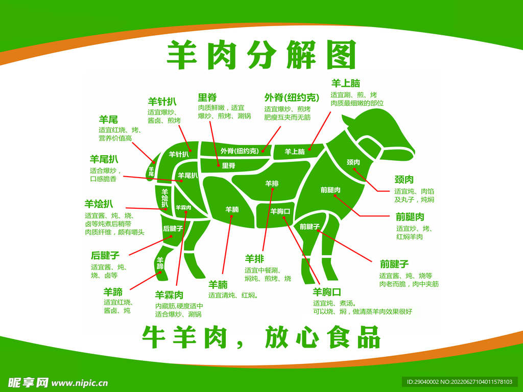 牛肉羊肉猪肉鸡肉矢量分割图素材