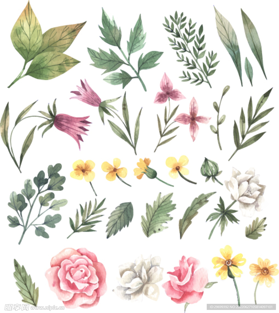 手绘花卉
