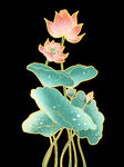 荷花
