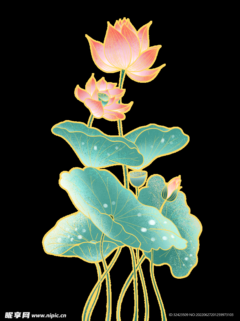 荷花