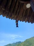 风铃