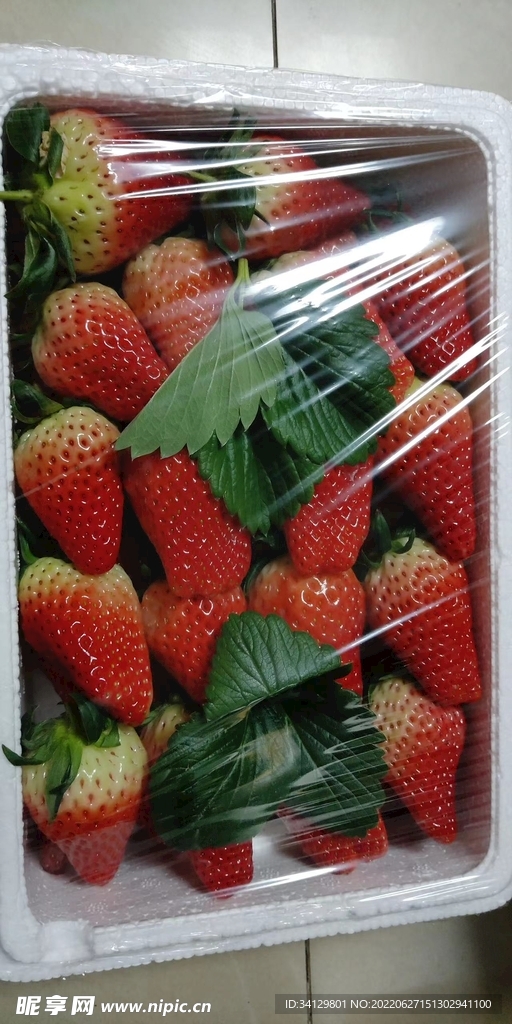 草莓