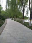 公园小路