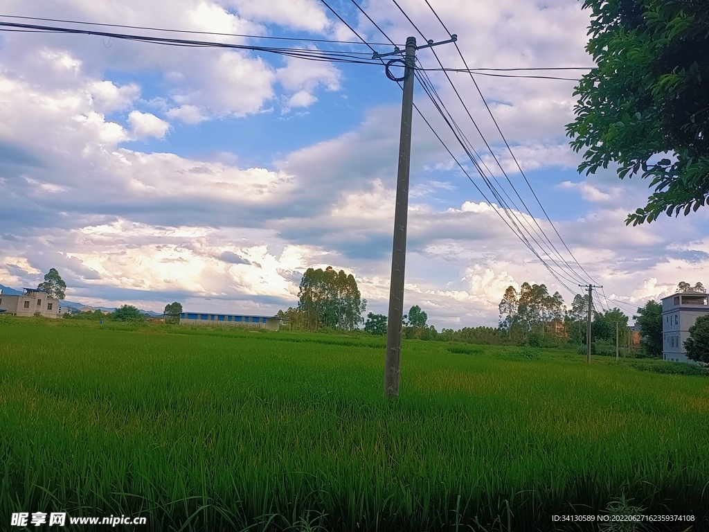 田园风光