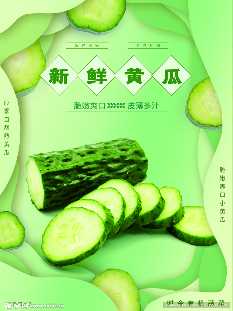 新鲜黄瓜