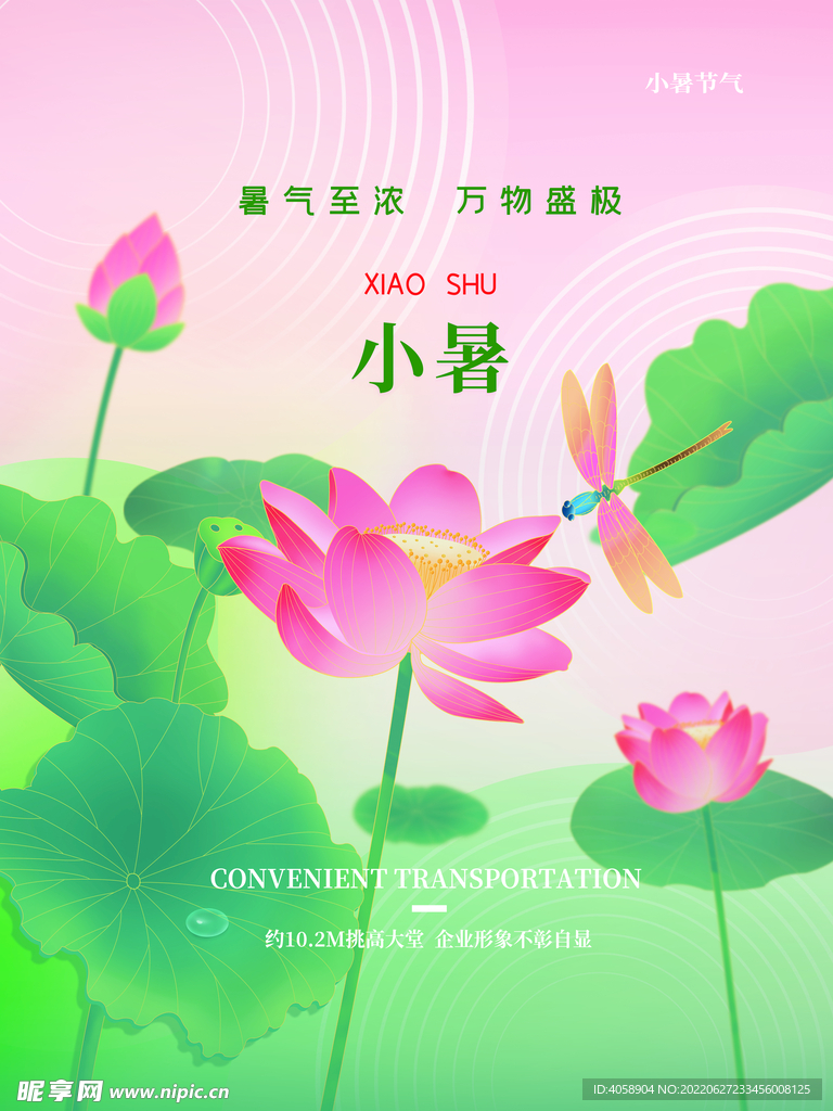 小暑