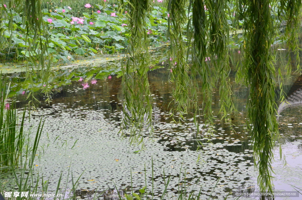 公园风景 