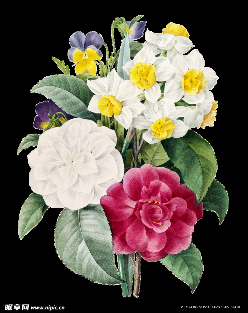 花群花簇