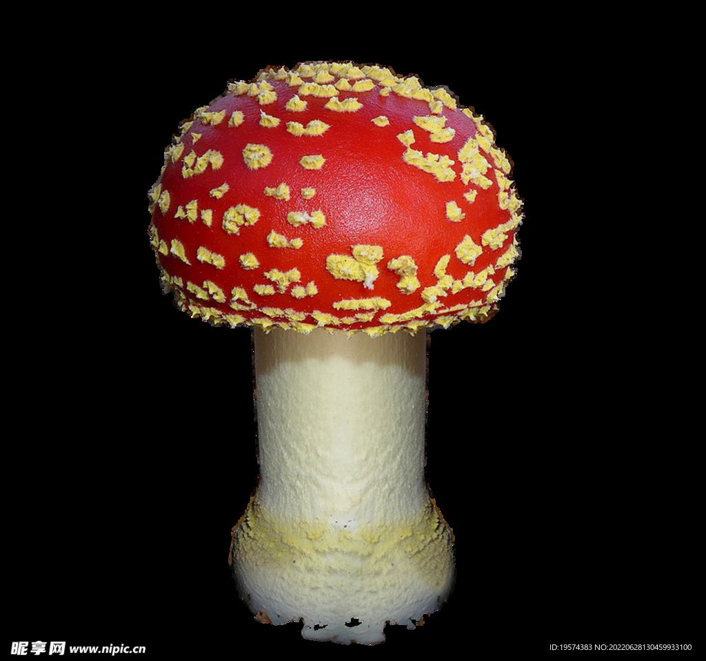 毒蘑菇