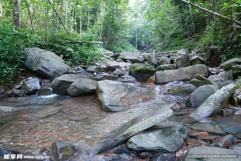 林间溪流