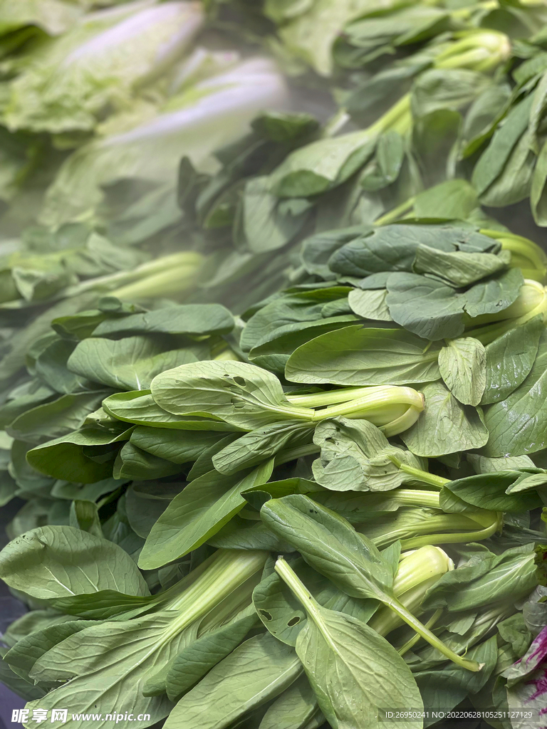 青菜