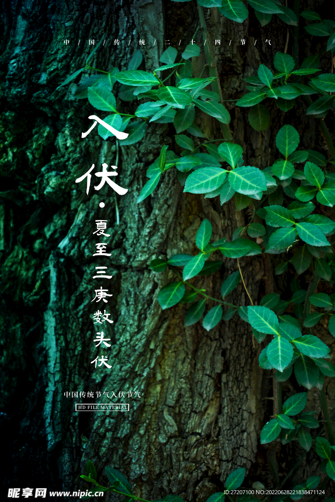 初伏