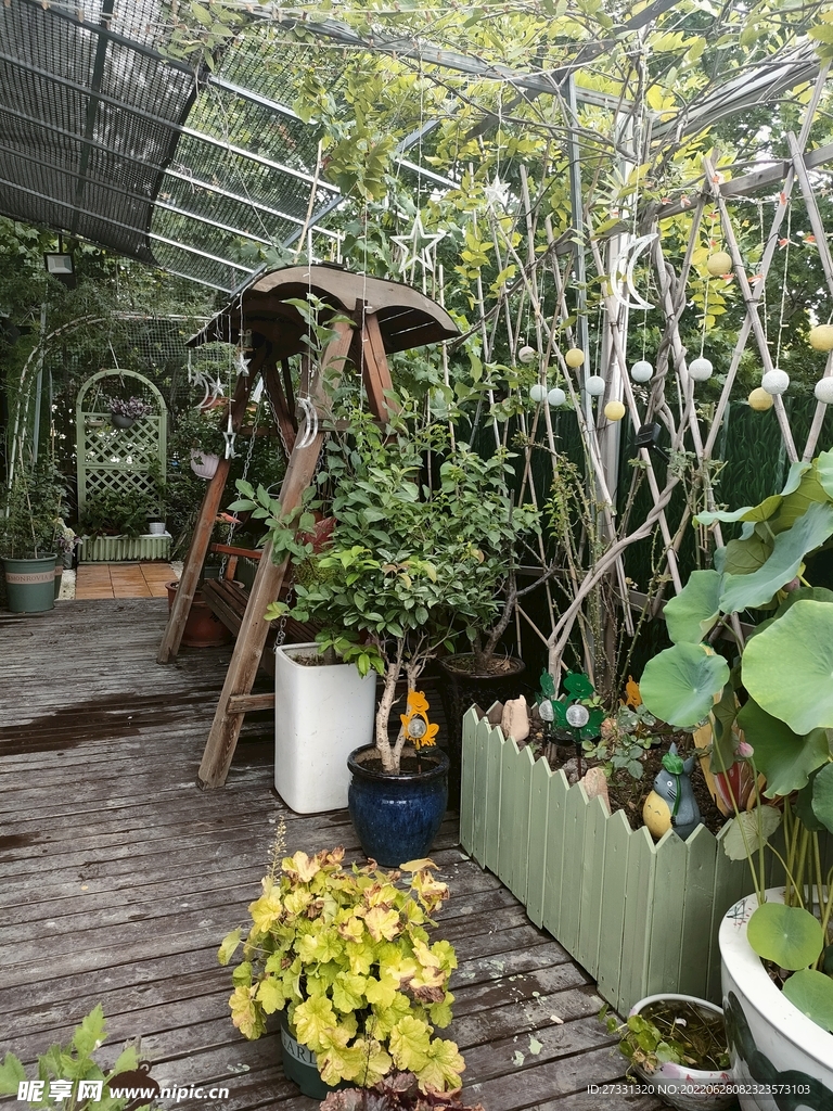 花园庭院植物绿植花卉