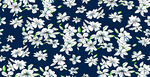 手绘花