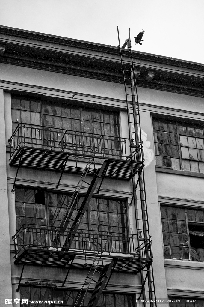 户外黑白城市建筑
