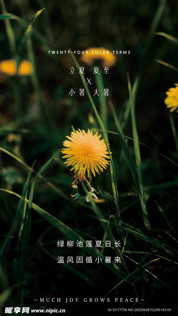 立夏 夏至 小暑 大暑