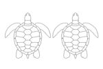 乌龟素描图案