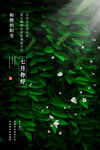 七月你好