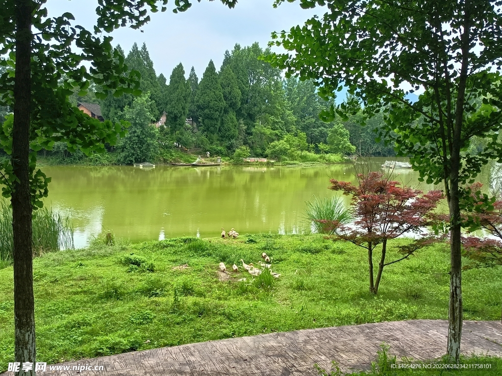 如梦如画