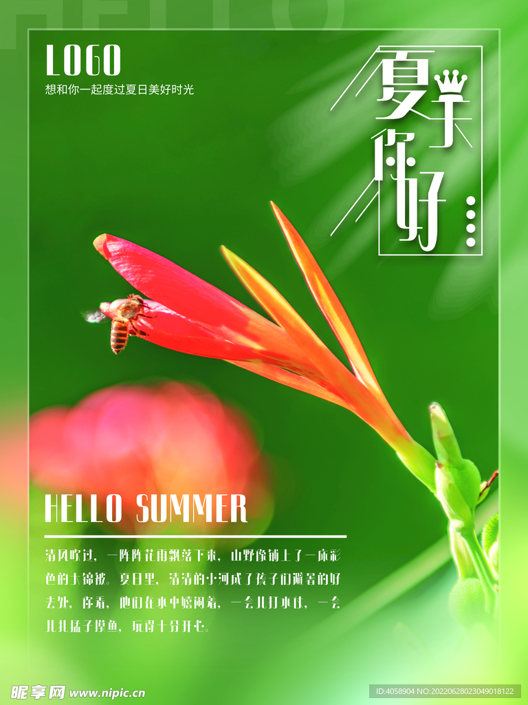 夏天你好