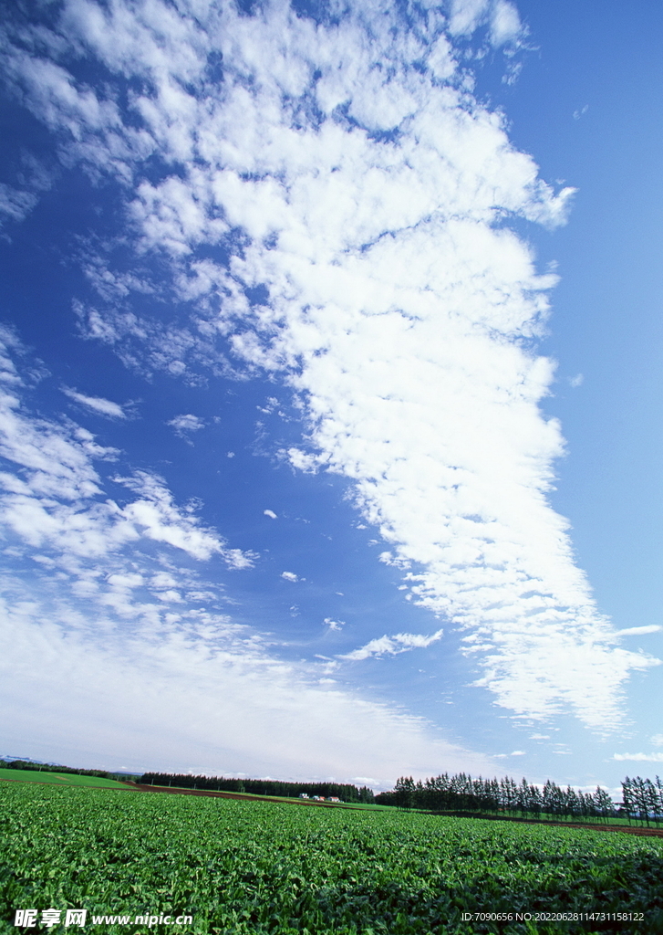 天空大地      