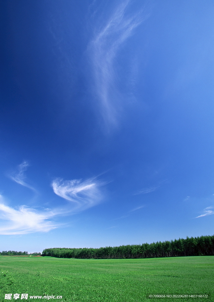 天空大地      