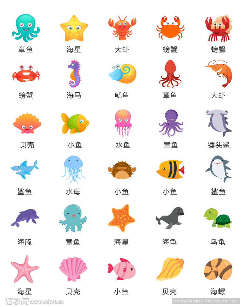 海洋生物