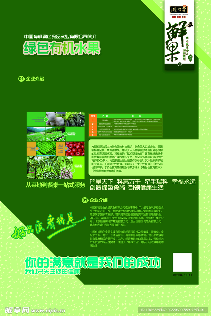 绿色有机蔬菜宣传单页