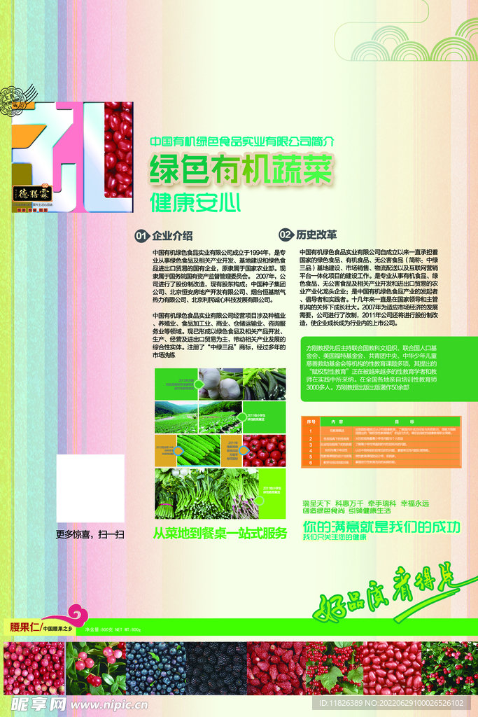 绿色有机蔬菜宣传单页