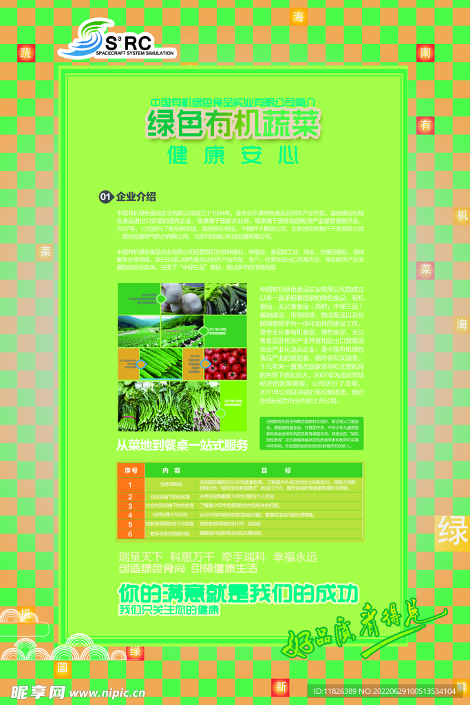 绿色有机蔬菜宣传单页 