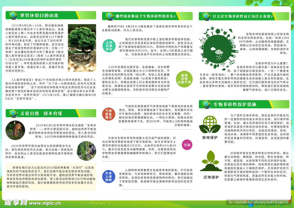 世界环境日宣传彩页