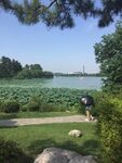 玄武湖美景