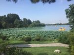 南京玄武湖