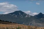山