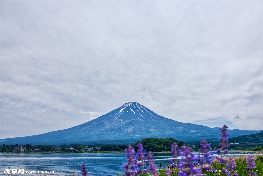 山