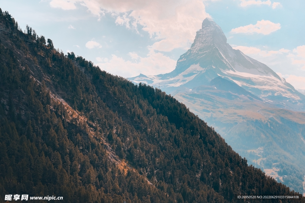 山