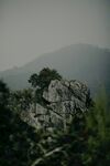 山