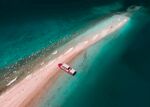 海