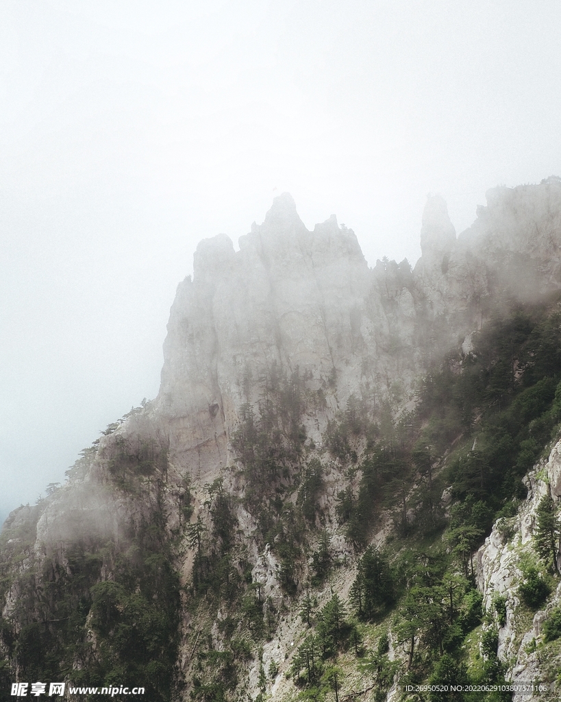 山