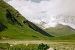 山