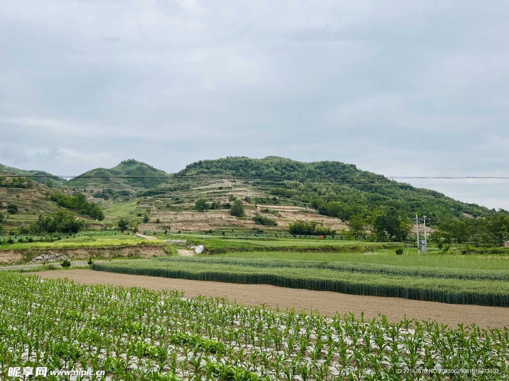 山清水秀