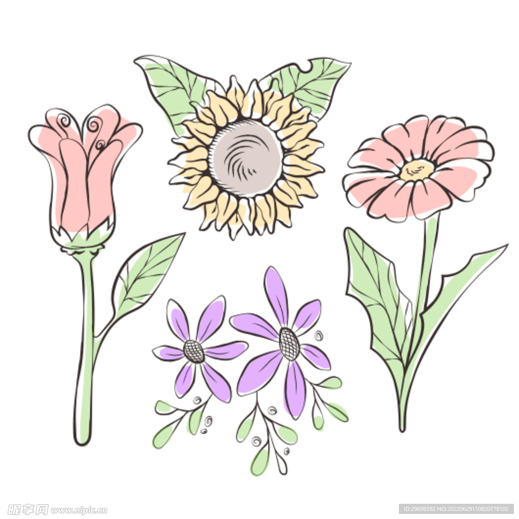 花卉素材