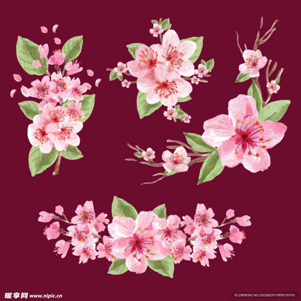 花卉素材